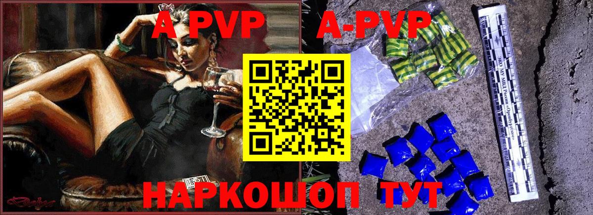 Alfa_PVP СК КРИС Гудермес