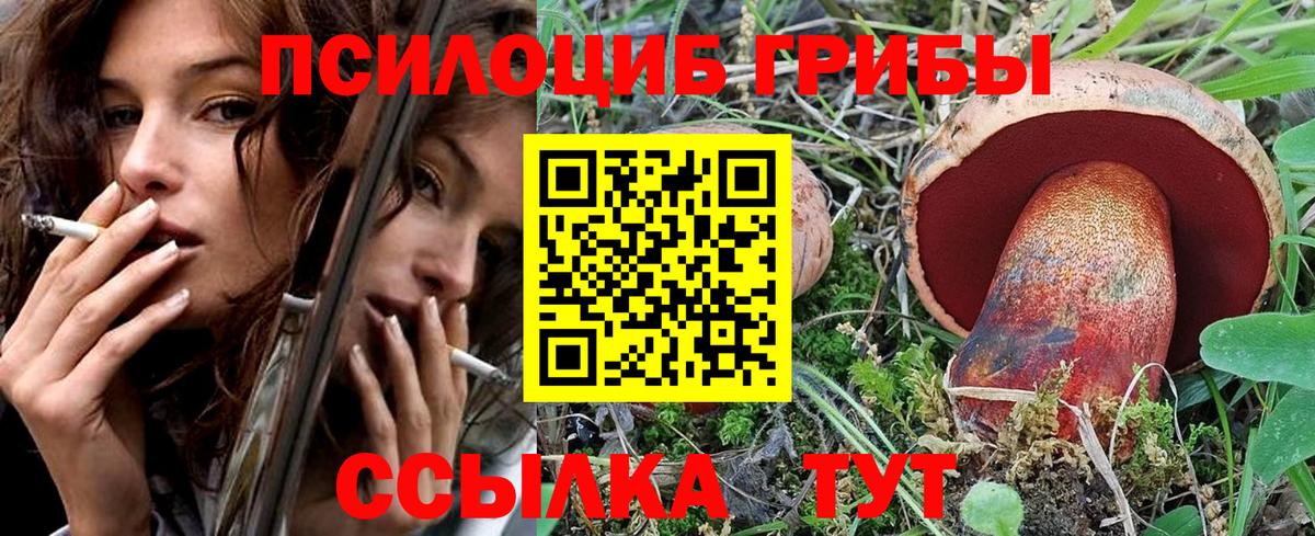Галлюциногенные грибы Cubensis  Галлюциногенные грибы мицелий  Гудермес  Вход с VPN 