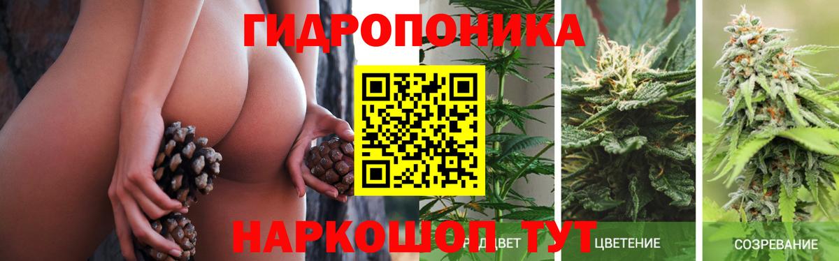 Канабис White Widow  Шишки марихуана Bruce Banner  Канабис марихуана  Гудермес  Вход с VPN 